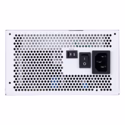 Silverstone DA750R Gold alimentatore per computer 750 W 24-pin ATX ATX Bianco - Vista aggiuntiva 4