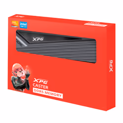 XPG CASTER DDR5 memoria 32 GB 2 x 16 GB 6000 MHz Data Integrity Check (verifica integrità dati)