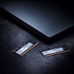 ADATA AD5S560024G-S memoria 24 GB 1 x 24 GB DDR5 5600 MT/s 262-pin SO-DIMM - Vista aggiuntiva 2
