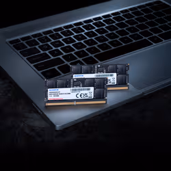 ADATA AD5S560024G-S memoria 24 GB 1 x 24 GB DDR5 5600 MT/s 262-pin SO-DIMM - Vista aggiuntiva 3