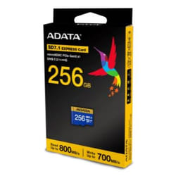 ADATA UD256GEX3L1-C memoria flash 256GB MicroSDXC UHS-II