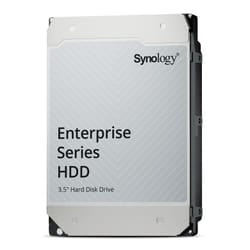 Synology HAS5320-24T disco rigido interno 24 TB 7200 Giri/min 1000 MB 3.5" SAS3
