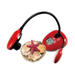 Lumens DC193 fotocamera per documento Rosso 25,4 / 3 mm (1 / 3") CMOS USB 2.0