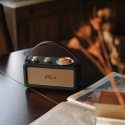 Sangean RA-101 Portatile Analogico Nero, Oro - Vista aggiuntiva 7
