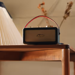 Sangean RA-101 Portatile Analogico Nero, Oro - Vista aggiuntiva 8