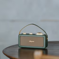 Sangean RA-101 Portatile Analogico Oro, Verde - Vista aggiuntiva 5