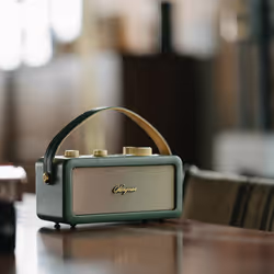 Sangean RA-101 Portatile Analogico Oro, Verde - Vista aggiuntiva 6