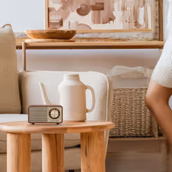 Sangean WR-7 PLUS Personale Analogico Noce - Vista aggiuntiva 6