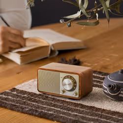 Sangean WR-7 PLUS Personale Analogico Noce - Vista aggiuntiva 7