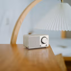 Sangean WR-7 PLUS Personale Analogico Quercia - Vista aggiuntiva 4