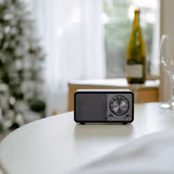 Sangean WR-7 PLUS Personale Analogico Rovere scuro - Vista aggiuntiva 8