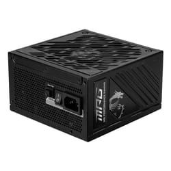 MSI MPG A1250GS PCIE5 alimentatore per computer 1250 W 20+4 pin ATX ATX Nero