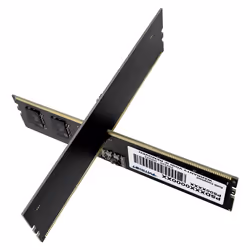 Patriot Memory Signature Premium Patriot memoria 16 GB 1 x 16 GB DDR5 5600 MHz - Vista aggiuntiva 7
