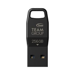 Team Group S5 unità flash USB 256 GB USB tipo A 3.2 Gen 1 (3.1 Gen 1) Nero