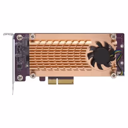QNAP QM2-2S-220A, PCIe, M.2, PCIe 2.0, Oro, M.2 22110/2280