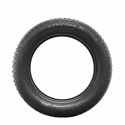 Nankang SV-3 Winter 315/40 R21 115V auto Pneumatici invernali Pneumatici MERCEDES-BENZ: GLE SUV, GLE, GLE Coupe JY184