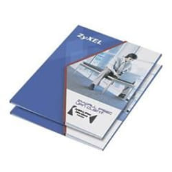 Zyxel E-iCard 1y 250 dev. 1 anno/i