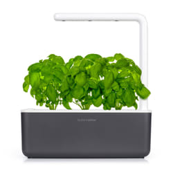 Click & Grow THE SMART GARDEN 3 giardinaggio Grigio