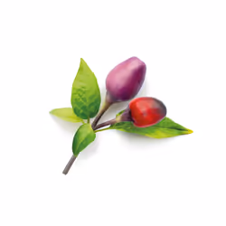 Click & Grow 4742793008745 ricarica e kit di crescita 3 pz Peperoncino Kit Starter