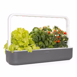 Click & Grow Smart Garden 9, LED, 9 lampada(e)