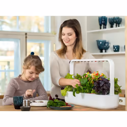 Click & Grow Smart Garden 9 giardinaggio Grigio - Vista aggiuntiva 4
