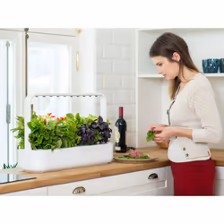 Click & Grow Smart Garden 9 giardinaggio Grigio - Vista aggiuntiva 5