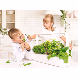 Click & Grow Smart Garden 9 giardinaggio Grigio - Vista aggiuntiva 7