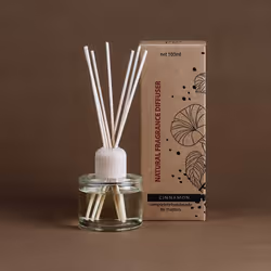 the MUNIO Cinnamon Diffuser diffusore di aromi Flacone di fragranza Vetro Translucent
