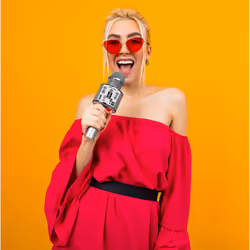 iDance PARTY MIC Argento Microfono per karaoke - Vista aggiuntiva 6