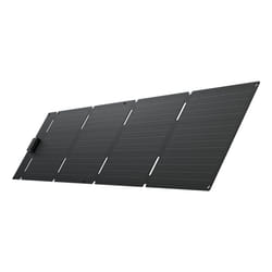 EcoFlow EFSOLAR60-TYPE-C pannello solare 60 W Silicone monocristallino