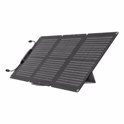 EcoFlow EFSOLAR60-TYPE-C pannello solare 60 W Silicone monocristallino