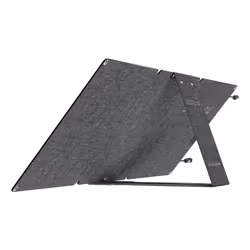 EcoFlow EFSOLAR60-TYPE-C pannello solare 60 W Silicone monocristallino
