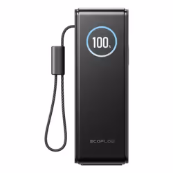 EcoFlow EF-RAPID25K100W-B-EU batteria portatile 25000 mAh Nero - Vista aggiuntiva 2