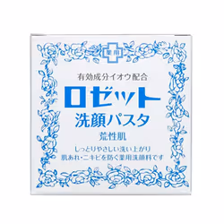 ROSETTE Face Wash Pasta 953001 detergente per il viso Schiuma detergente 90 g Donna