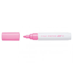 Pilot Pintor Rosa