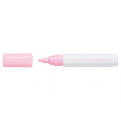 Pilot Pintor Rosa