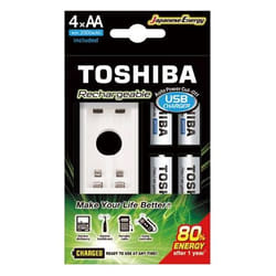 Toshiba TNHC-6GME4 CB carica batterie AC