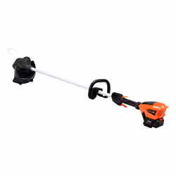 Echo DSRM 310 30,5 cm CA/Batteria Nero, Rosso