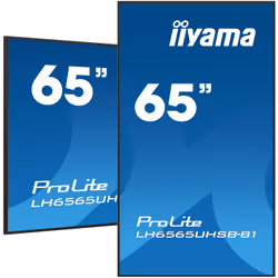 iiyama LH6565UHSB-B1 visualizzatore di messaggi Design chiosco 64.5" LED Wi-Fi 800 cd/m² 4K Ultra HD Nero Processore integrato 24/7 - Vista aggiuntiva 5