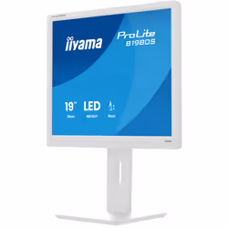 iiyama ProLite B1980S-W1 Monitor PC 48,3 cm (19") 1280 x 1024 Pixel SVGA LED Bianco - Vista aggiuntiva 8
