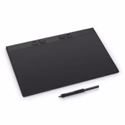 Wacom Intuos Pro Large tavoletta grafica Nero 349 x 195 mm USB/Bluetooth