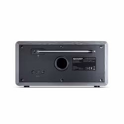 Sharp DR-450 Personale Digitale Grigio, Acciaio inox - Vista aggiuntiva 4