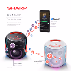 Sharp PS-919 Sistema di altoparlanti portatile 2.1 Nero 130 W - Vista aggiuntiva 6