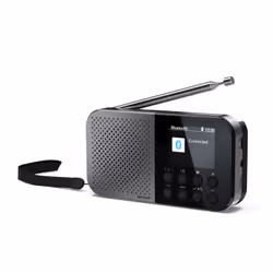 Sharp DR-P520, Personale, Digitale, DAB, DAB+, FM, AAC, 5,08 cm (2"), USB tipo-C