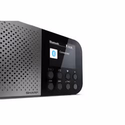 Sharp DR-P520 Personale Digitale Grigio - Vista aggiuntiva 4