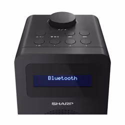 Sharp DR-430 Personale Digitale Nero - Vista aggiuntiva 5
