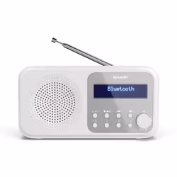 Sharp DR-P420, Portatile, Digitale, DAB, DAB+, FM, Scansione automatica, Sintonizzazione automatica, 2 W, AAC
