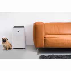 Sharp Home Appliances KCD50EUW 38 m² 55 dB 54 W Bianco