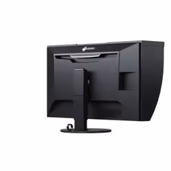 EIZO ColorEdge CG319X LED display 31.1" 4K DCI Nero - Vista aggiuntiva 4