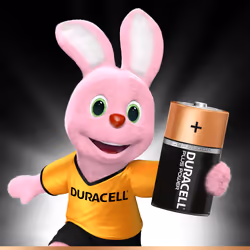 Duracell Plus Power Batteria monouso D Alcalino